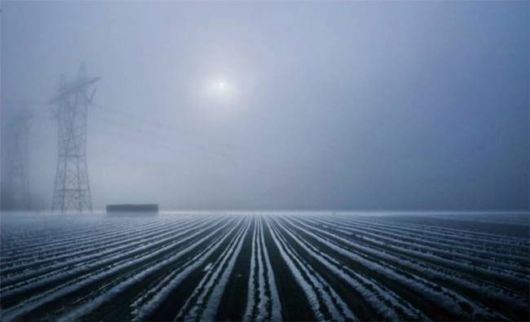 Amazing Foggy Nature Pictures