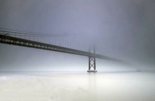 Amazing Foggy Nature Pictures