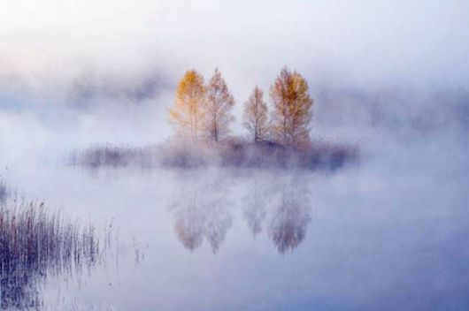 Amazing Foggy Nature Pictures