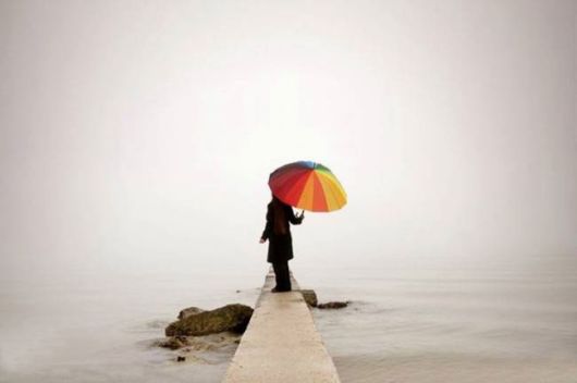 Amazing Foggy Nature Pictures
