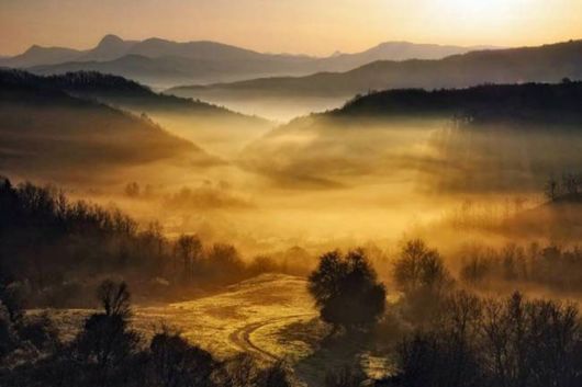 Amazing Foggy Nature Pictures
