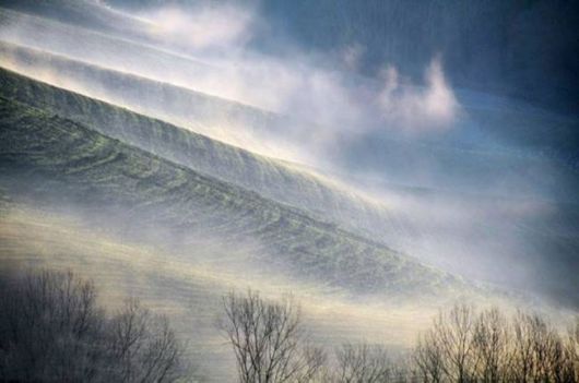 Amazing Foggy Nature Pictures