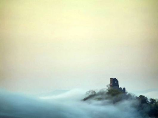 Amazing Foggy Nature Pictures