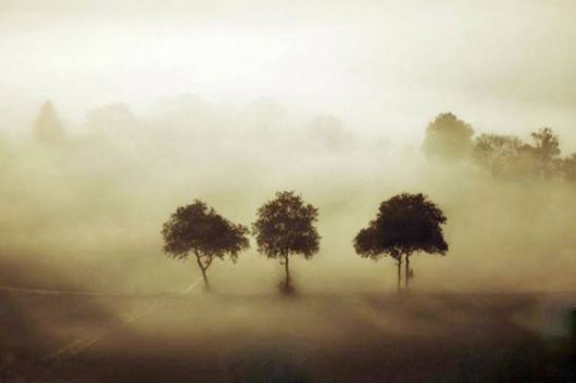 Amazing Foggy Nature Pictures