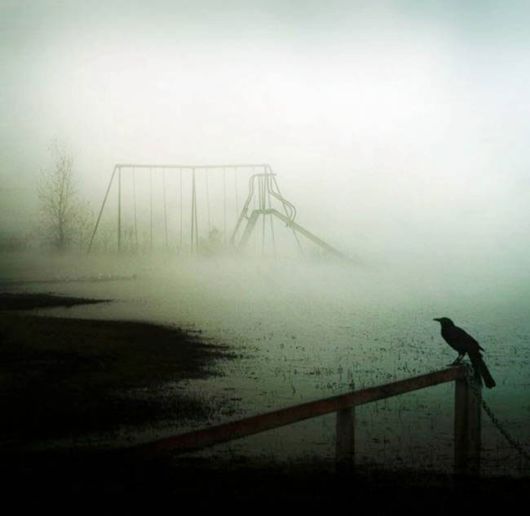 Amazing Foggy Nature Pictures