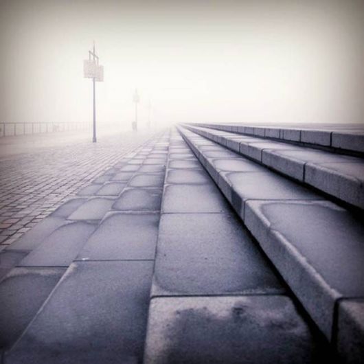 Amazing Foggy Nature Pictures