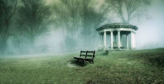 Amazing Foggy Nature Pictures