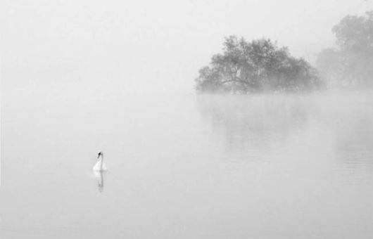 Amazing Foggy Nature Pictures