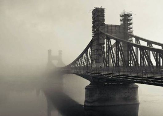 Amazing Foggy Nature Pictures