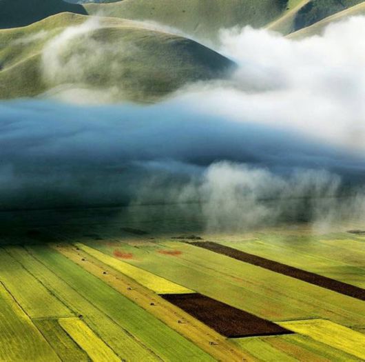 Amazing Foggy Nature Pictures