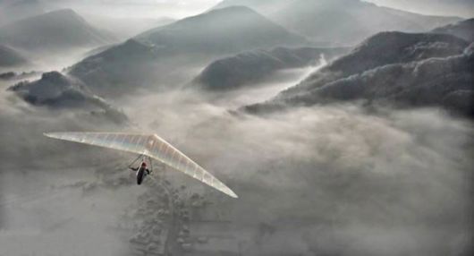 Amazing Foggy Nature Pictures