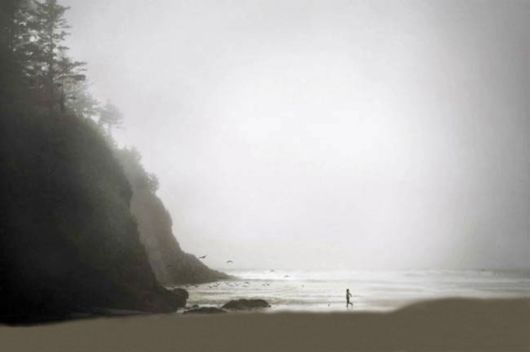 Amazing Foggy Nature Pictures