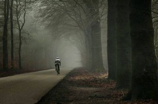 Amazing Foggy Nature Pictures