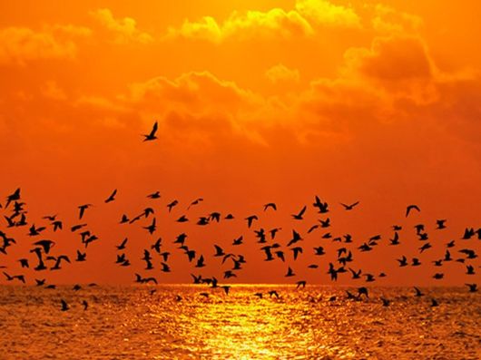 Most Beautiful Sun Photography