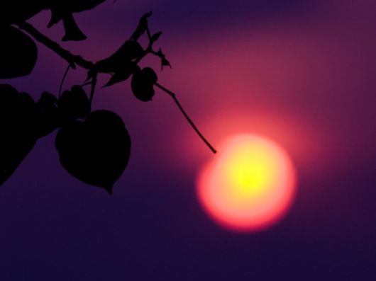 Most Beautiful Sun Photography