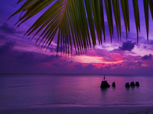 Most Beautiful Sun Photography