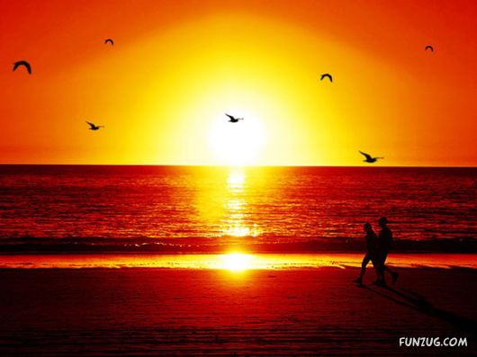 Most Beautiful Sunset Evenings