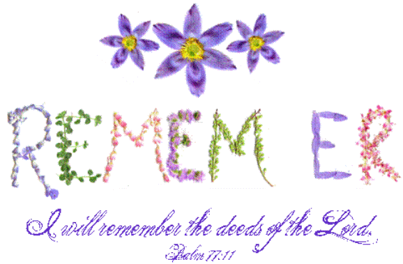 Beautiful Life Quotes