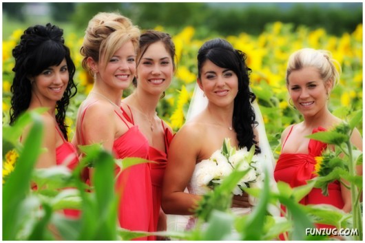 Assorted Beautiful Wedding Photos