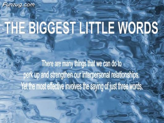 The Biggest Little Words
