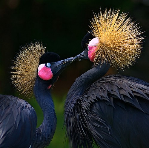 Lets eXpress LoVe in this Way