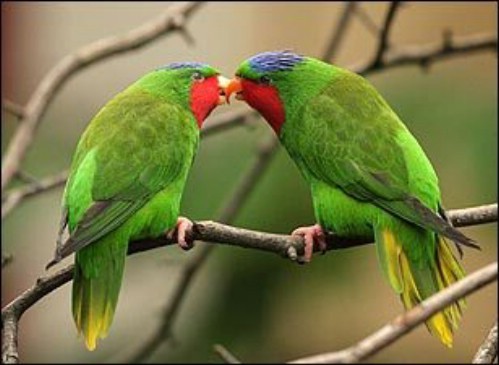 Lets eXpress LoVe in this Way