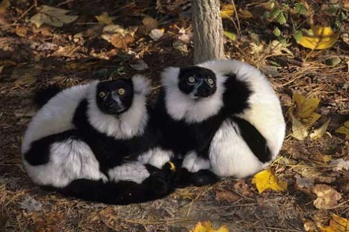 Lets eXpress LoVe in this Way