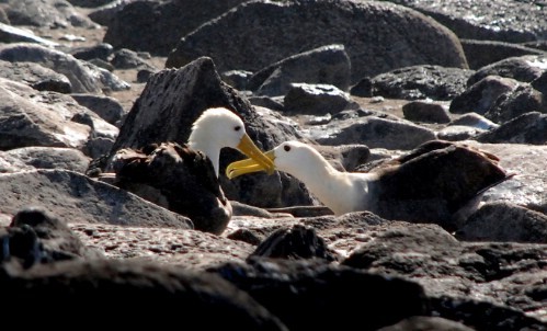 Lets eXpress LoVe in this Way