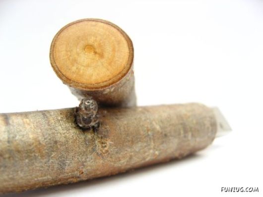 USB Drives Made With Wood