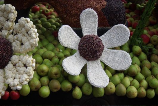 Fruitcorso Festival in Netherlands
