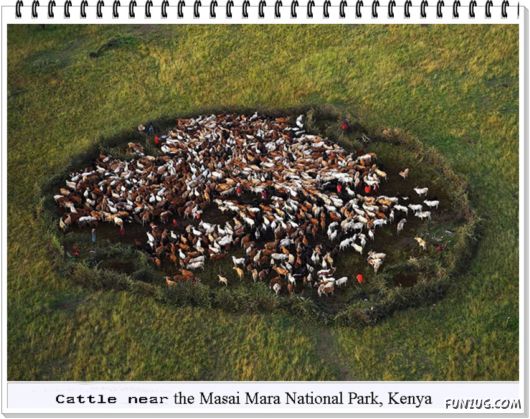 Wonderful Shots From The Air