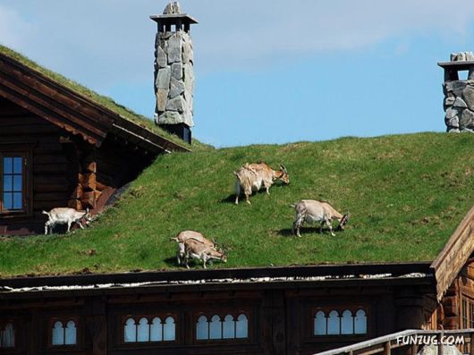 The Beautiful Norway