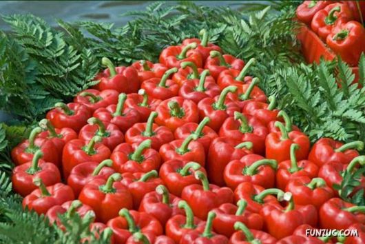 The Beautiful Floating Market Of Holland