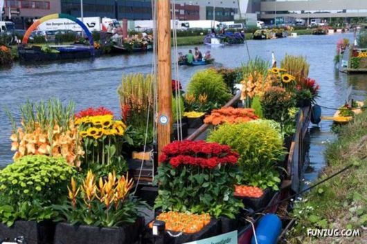 The Beautiful Floating Market Of Holland