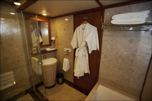 Luxurious Palace On Wheels