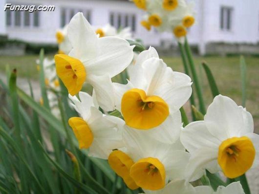 Unforgettable Journey To Jammu & Kashmir, India