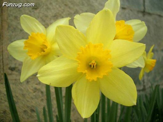 Unforgettable Journey To Jammu & Kashmir, India