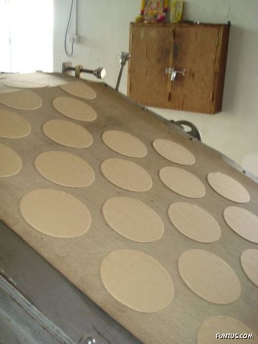 Amazing Chapaati Engineering