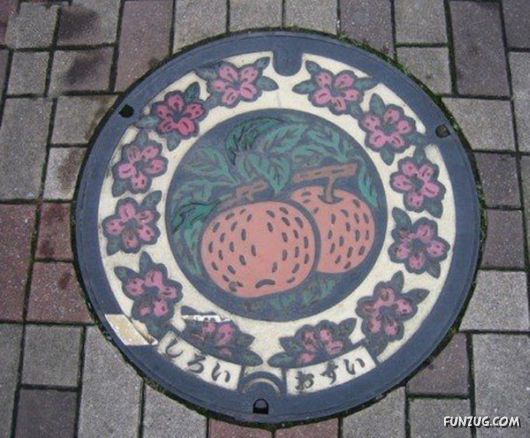 Incredible Japanese Manhole Covers