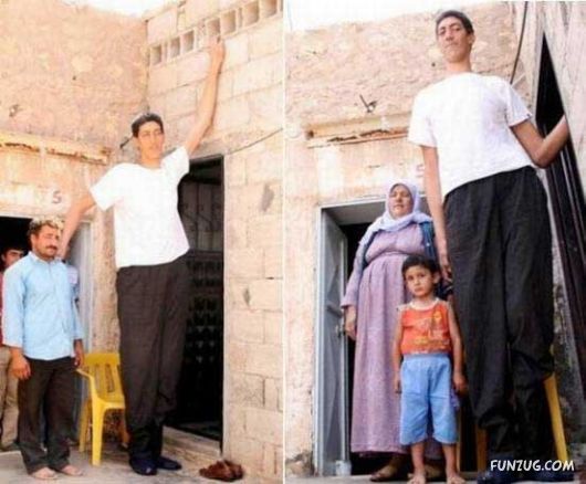 World's Tallest Man Sultan Kosen