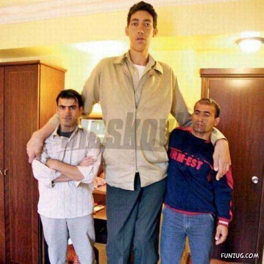 World's Tallest Man Sultan Kosen