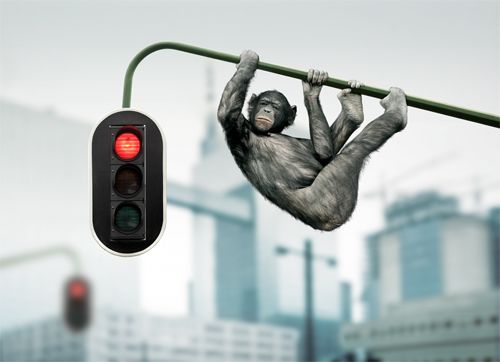 Weird Photography by Koen Demuynck