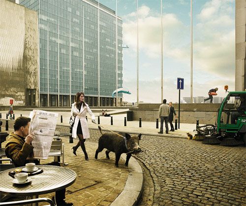 Weird Photography by Koen Demuynck