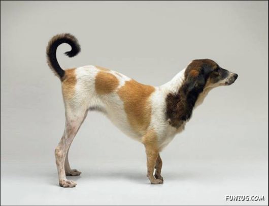 Coolest Photos To Think Upon