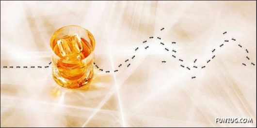 Coolest Photos To Think Upon