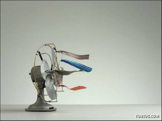 Coolest Photos To Think Upon