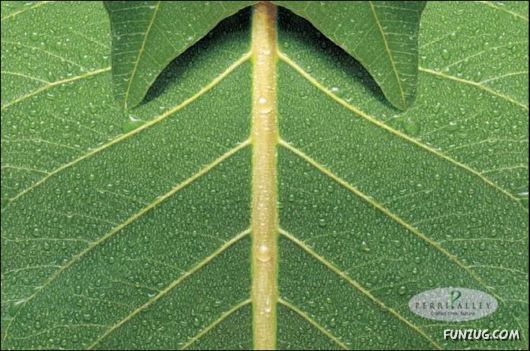 Coolest Photos To Think Upon