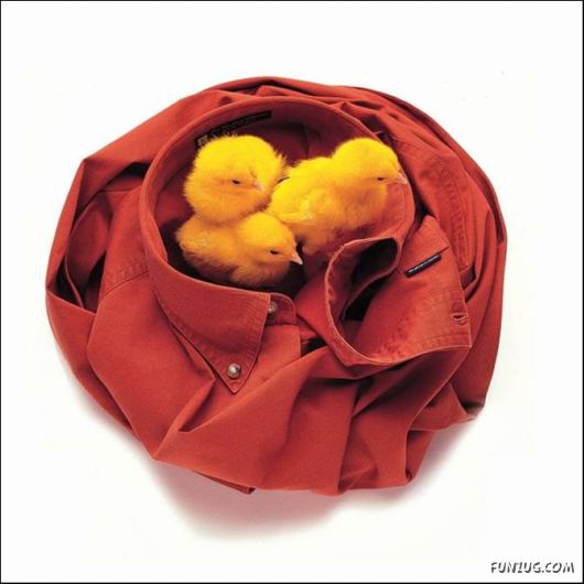 Coolest Photos To Think Upon