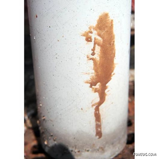 The Phenomena of Images of Saints