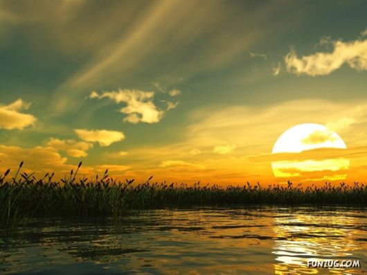 Click to Enlarge - Alone with the Nature Wallpapers